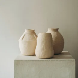 demo-images